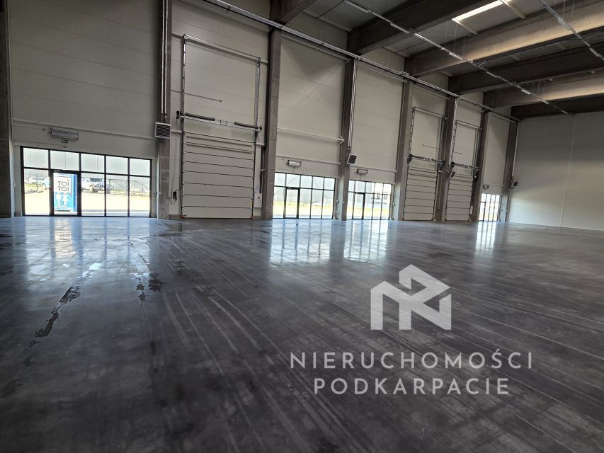Hala/magazyn Rzeszów Dworzysko, ul. Biznesowa. Zdjęcie 6