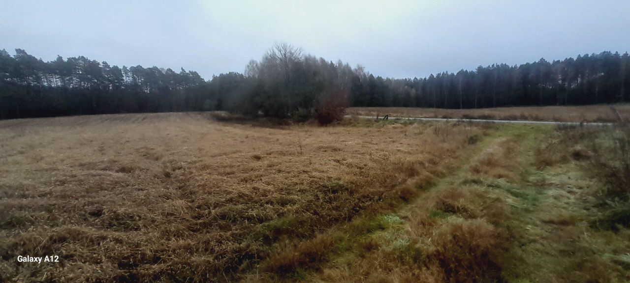 Działka rolna Martew. Zdjęcie 2