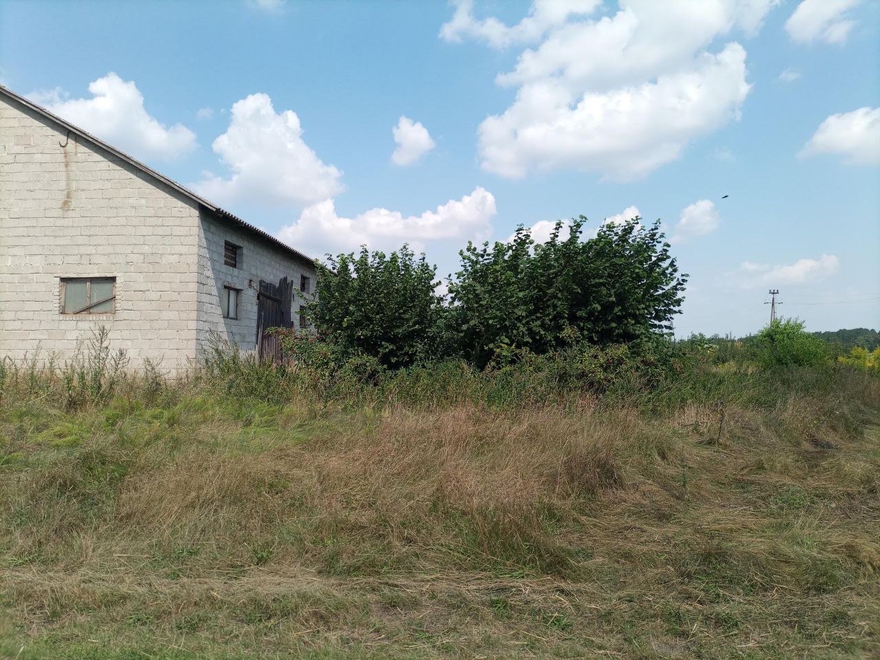 Działka budowlana Huta Drewniana. Zdjęcie 6