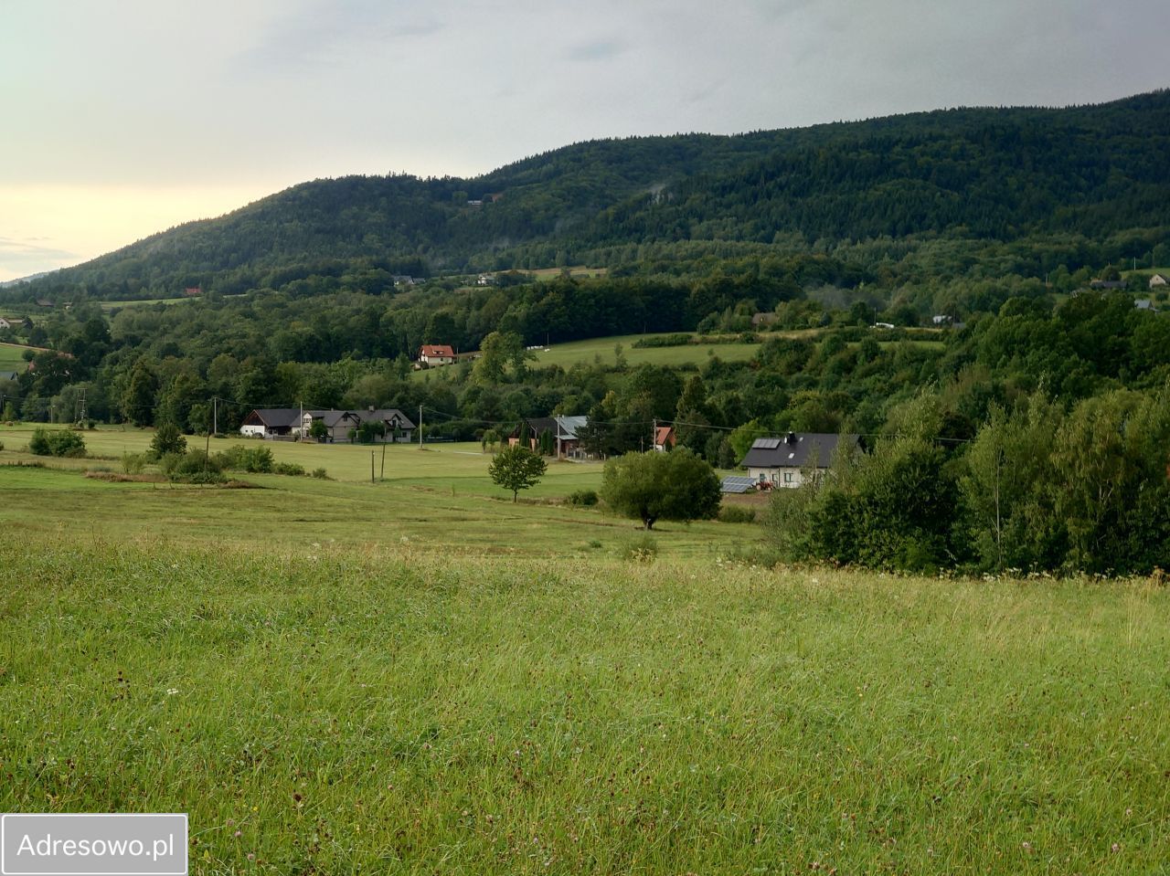 Działka budowlana Przenosza. Zdjęcie 11