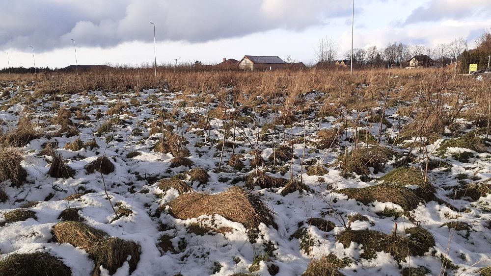 Działka budowlana Kobylnica, ul. Topolowa. Zdjęcie 5