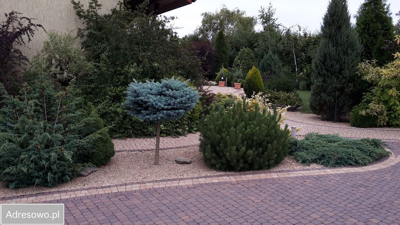 dom wolnostojący, 5 pokoi Czestków F. Zdjęcie 11