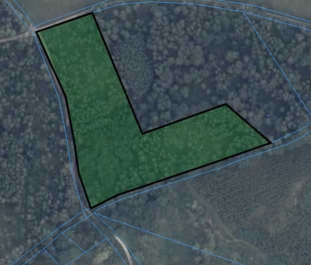 Działka leśna Boreczno. Zdjęcie 2