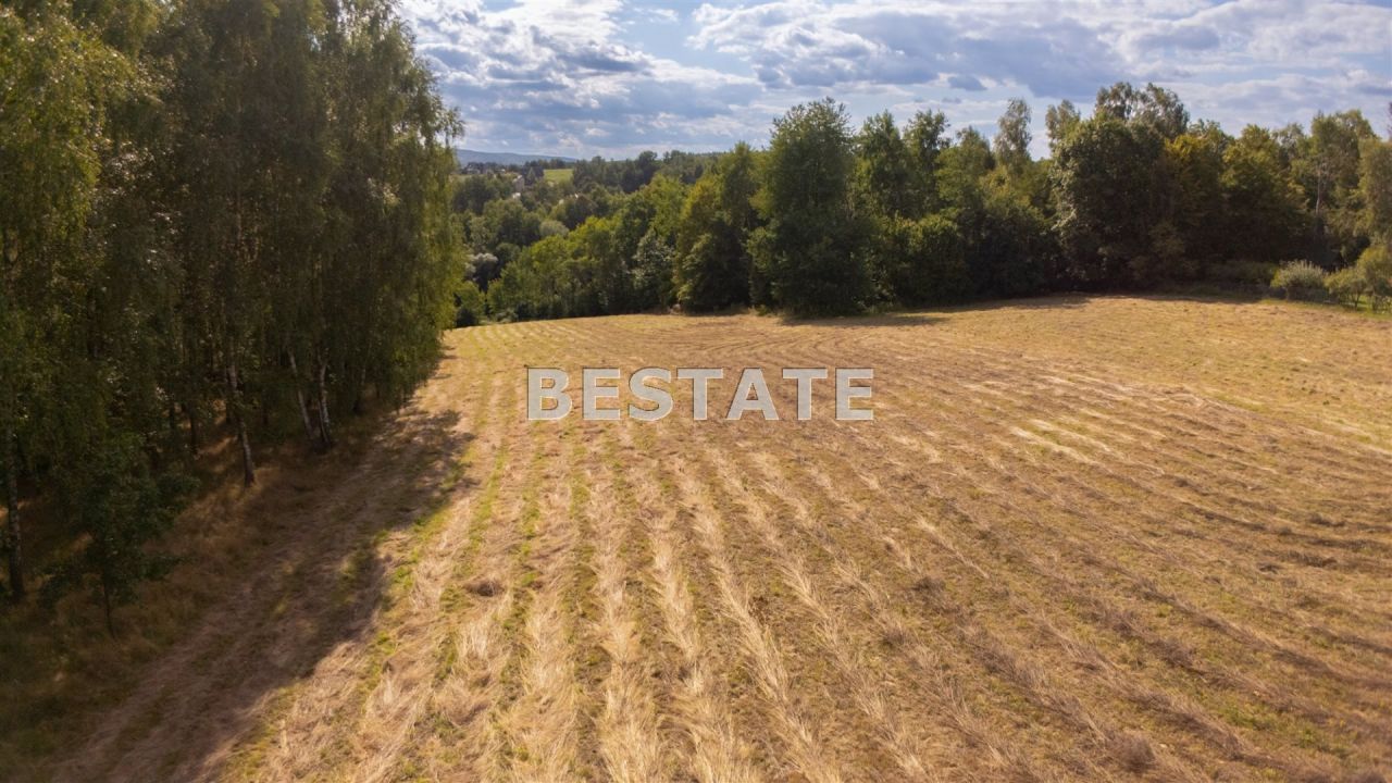 Działka rolna Lewniowa. Zdjęcie 11