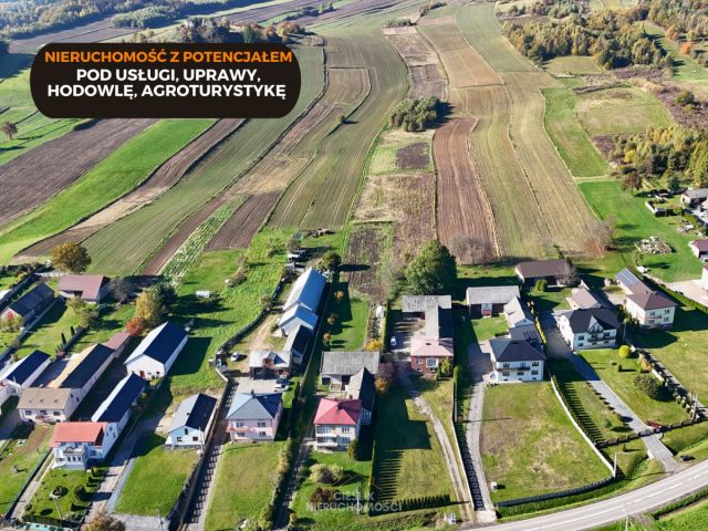 Działka inwestycyjna Strzegowa. Zdjęcie 4