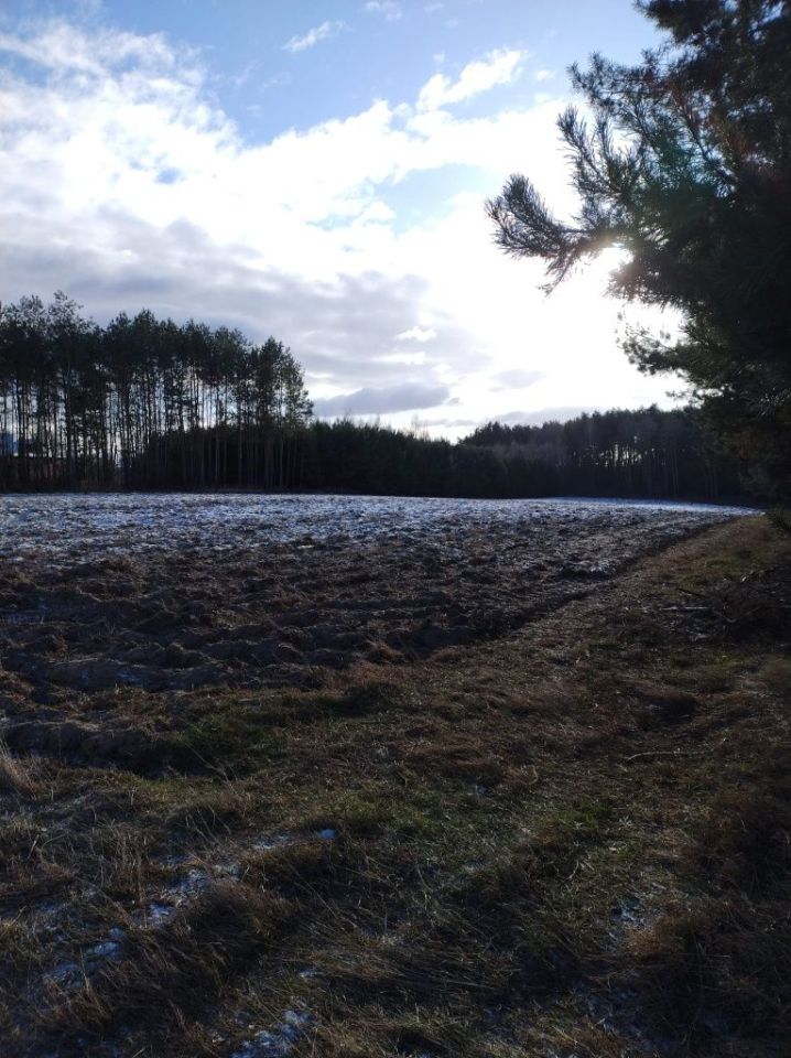 Działka budowlana Ludwików. Zdjęcie 5