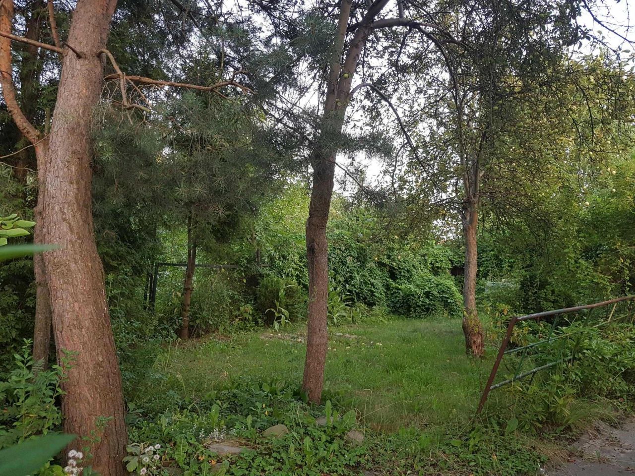 Działka rod Katowice Brynów, ul. Porfirowa. Zdjęcie 8