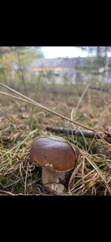 dom wolnostojący, 4 pokoje Czerniewo Czerniec, Czerniewo. Zdjęcie 20