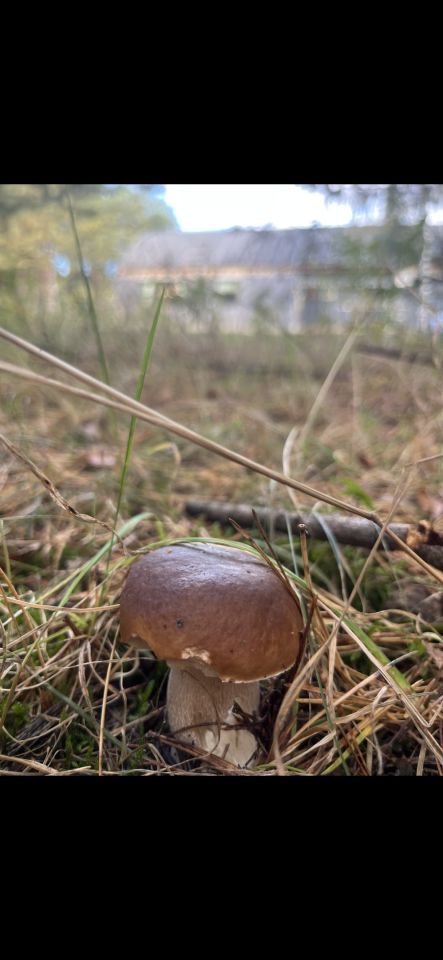 dom wolnostojący, 4 pokoje Czerniewo Czerniec, Czerniewo. Zdjęcie 20
