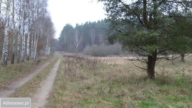 Działka rolno-budowlana Unieszynko. Zdjęcie 1