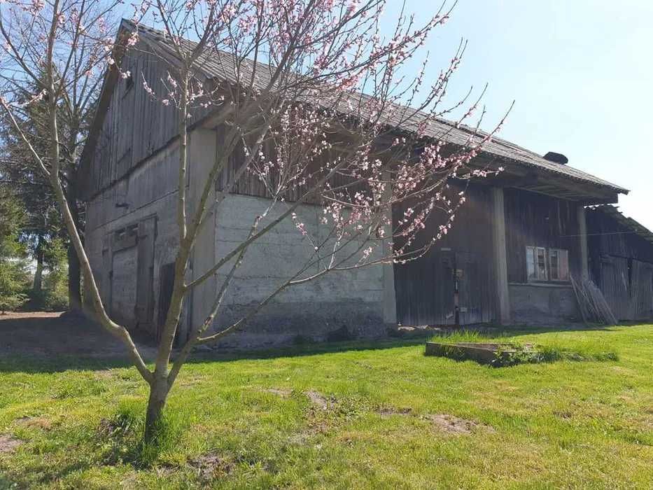 dom wolnostojący Orla, ul. Krzywa. Zdjęcie 2