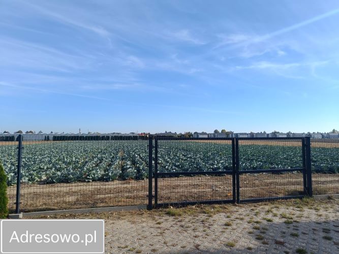 Działka rolna Ołtarzew, ul. Duchnicka. Zdjęcie 9