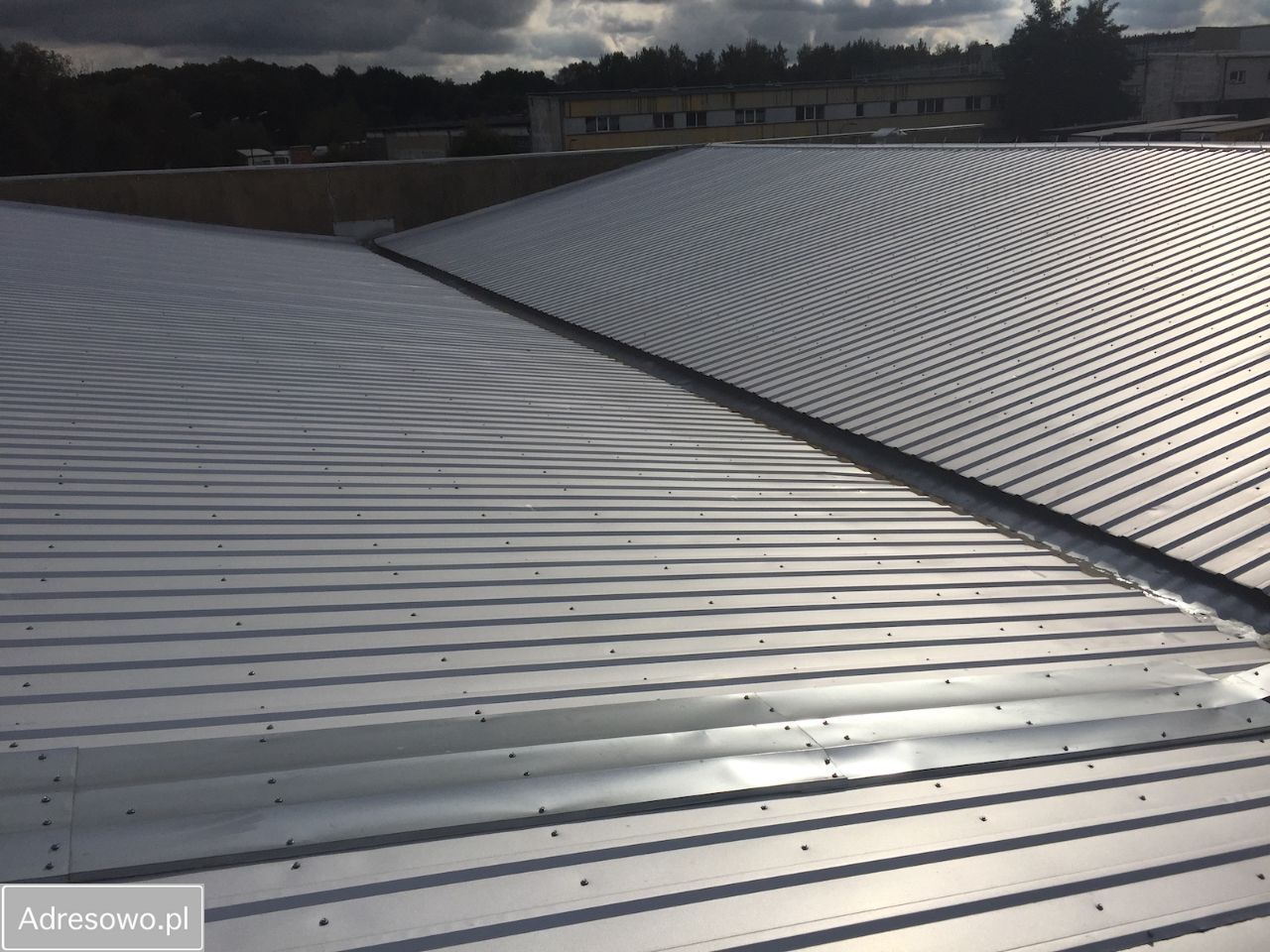 Hala/magazyn Prusice. Zdjęcie 11