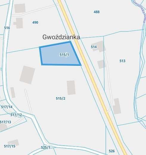Działka rolno-budowlana Gwoździanka. Zdjęcie 3