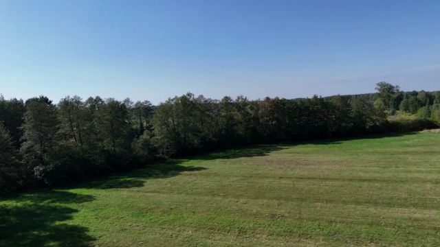 Działka rolna Celinów, ul. Różana. Zdjęcie 11