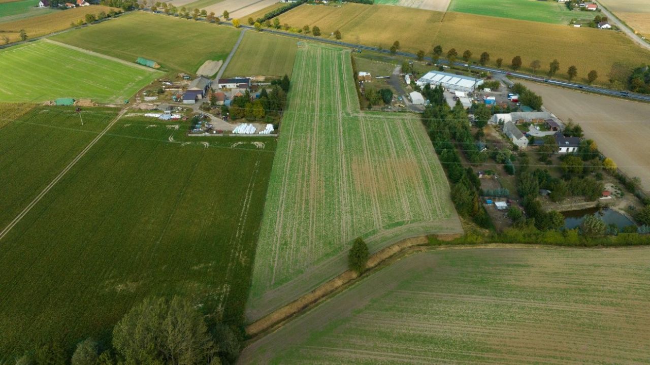 Działka budowlana Rokosz. Zdjęcie 1