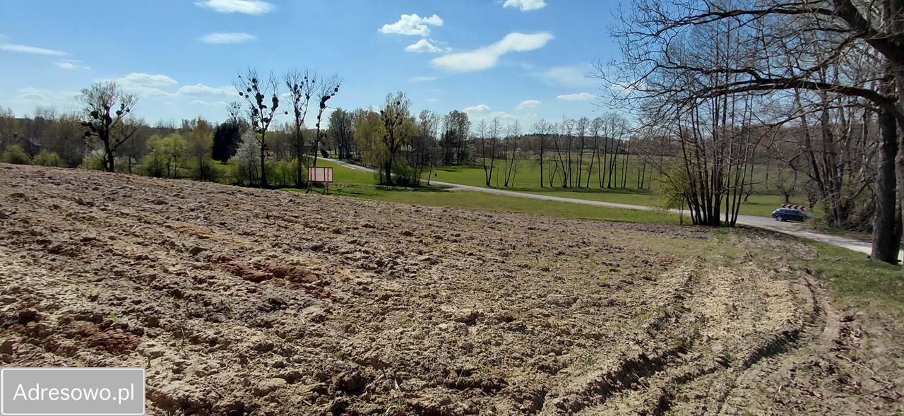Działka siedliskowa Rzeczyca-Kolonia. Zdjęcie 8