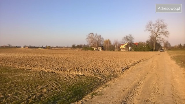 Działka rolno-budowlana Łysołaje-Kolonia. Zdjęcie 1