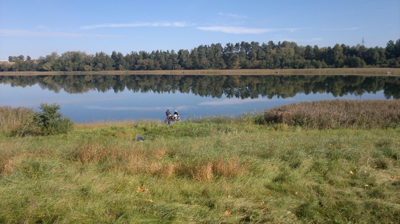 Działka rolna Jemiołowo. Zdjęcie 6