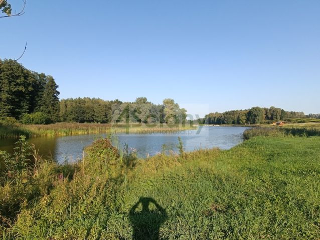 Działka siedliskowa Osuchów. Zdjęcie 23