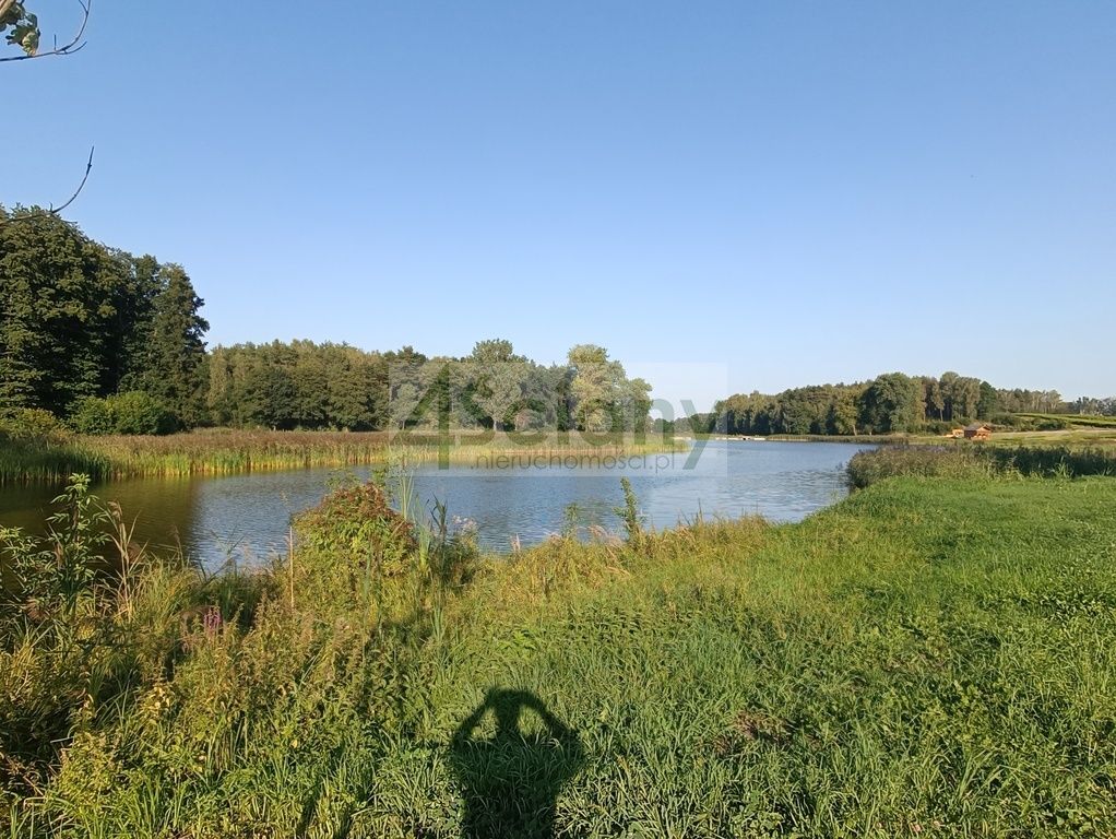 Działka siedliskowa Osuchów. Zdjęcie 23