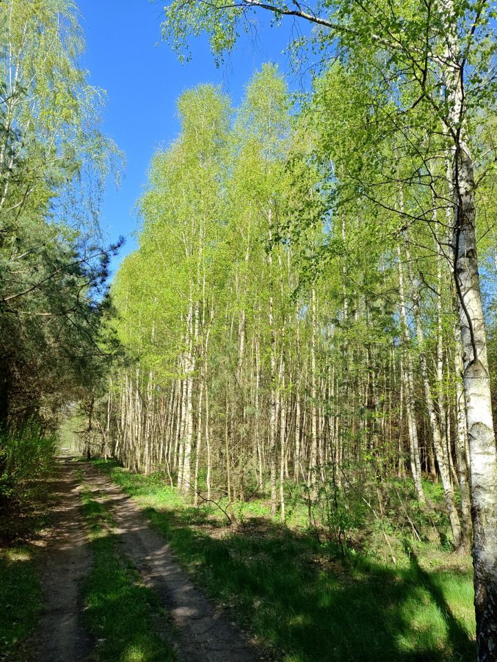 Działka rolno-budowlana Długie Grodzieckie Nad Jeziorem. Zdjęcie 8