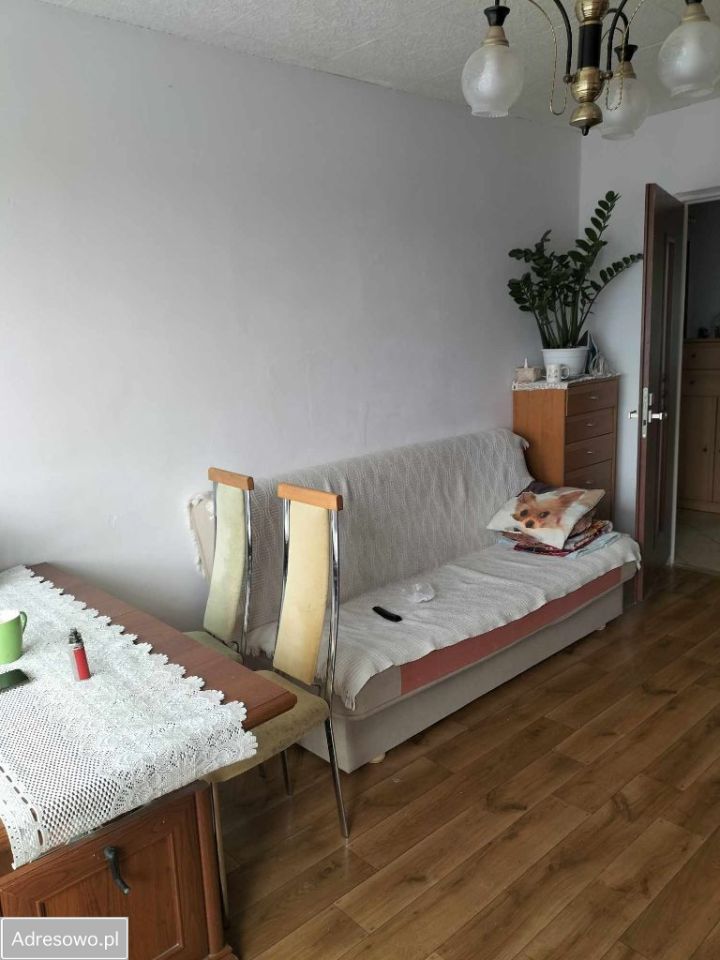 Mieszkanie 3-pokojowe Gniezno, os. Jagiellońskie. Zdjęcie 9