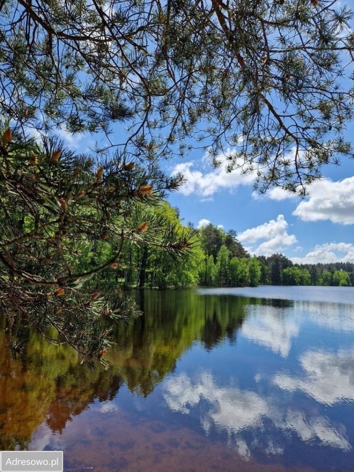 Działka budowlana Szczenurze, ul. Pomorska. Zdjęcie 2
