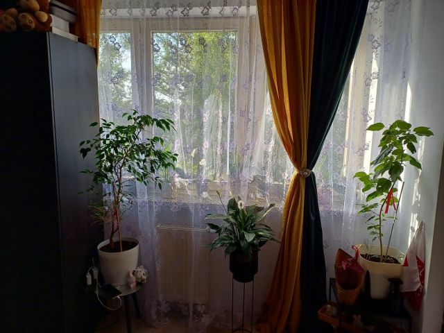 Mieszkanie 2-pokojowe Grodzisk Mazowiecki, ul. L. Teligi. Zdjęcie 1