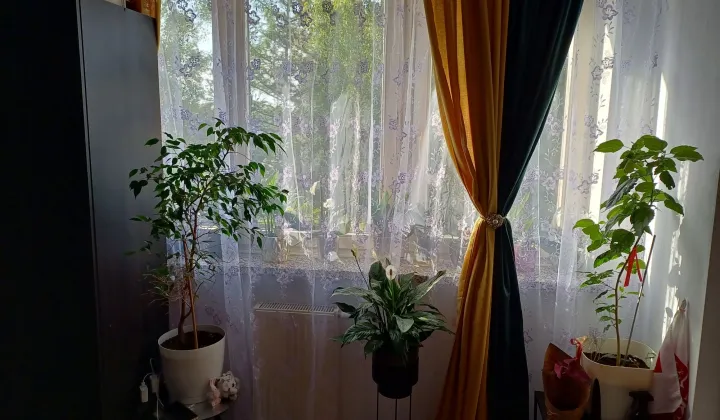Mieszkanie 2-pokojowe Grodzisk Mazowiecki, ul. L. Teligi