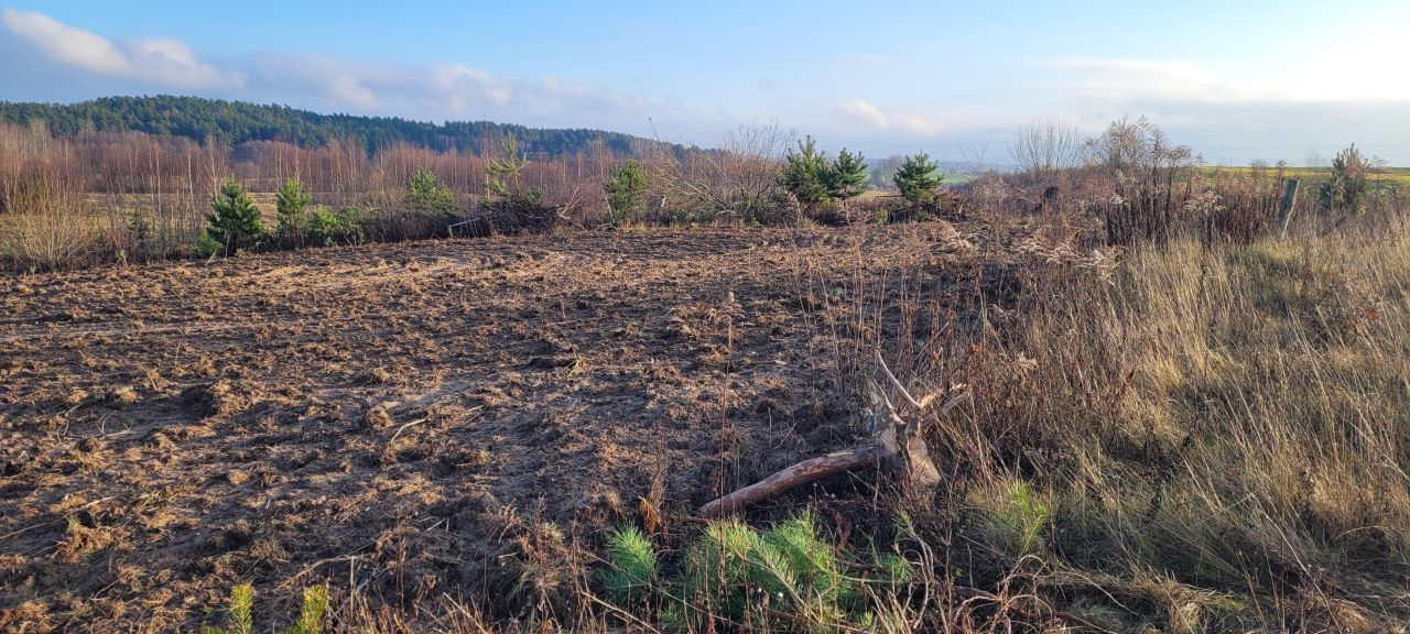 Działka budowlana Bogdany. Zdjęcie 3