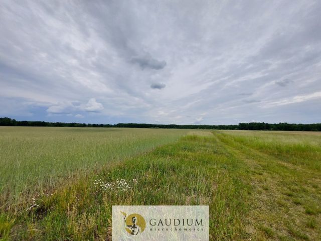 Działka Karszyn. Zdjęcie 18