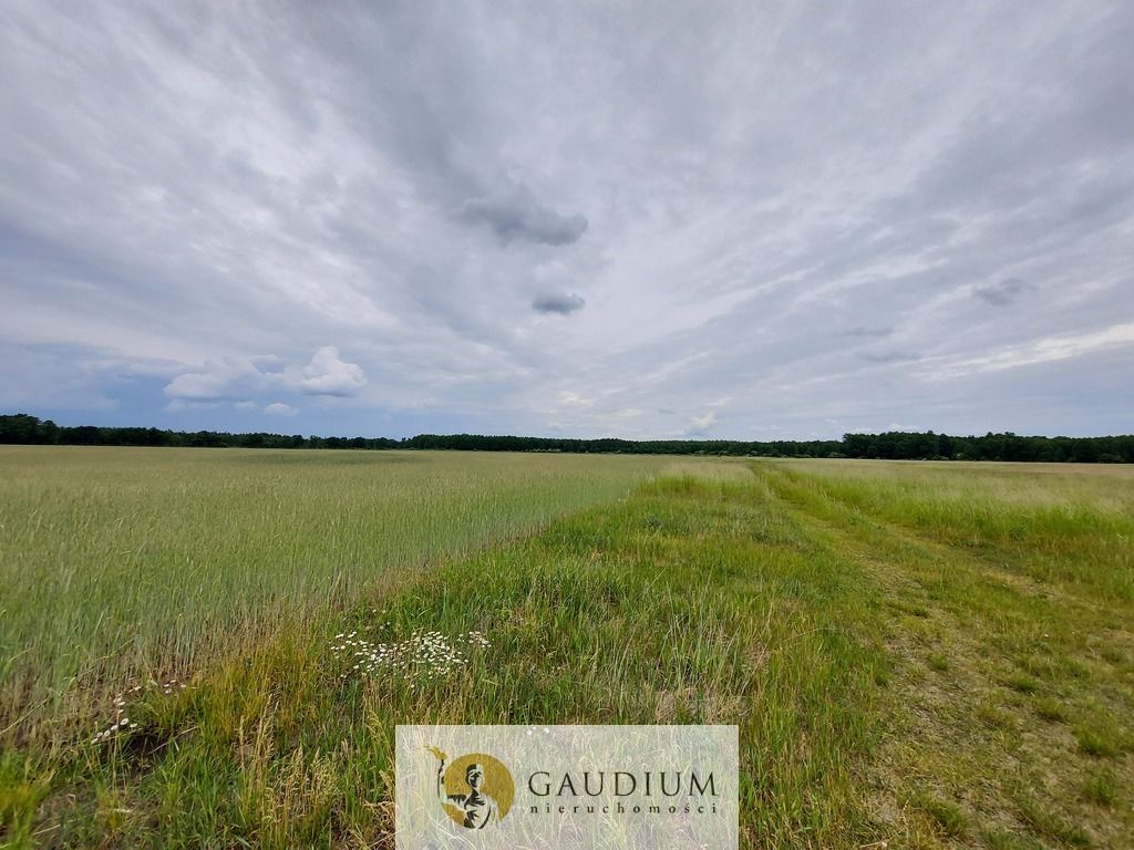 Działka Karszyn. Zdjęcie 18