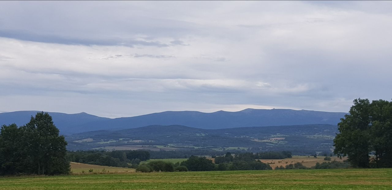 Działka rolna Pasiecznik. Zdjęcie 5