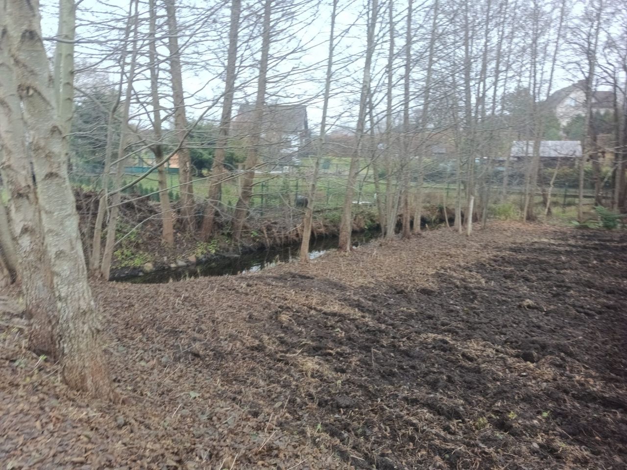 Działka rekreacyjna Kalisz, ul. Jeziorna. Zdjęcie 3