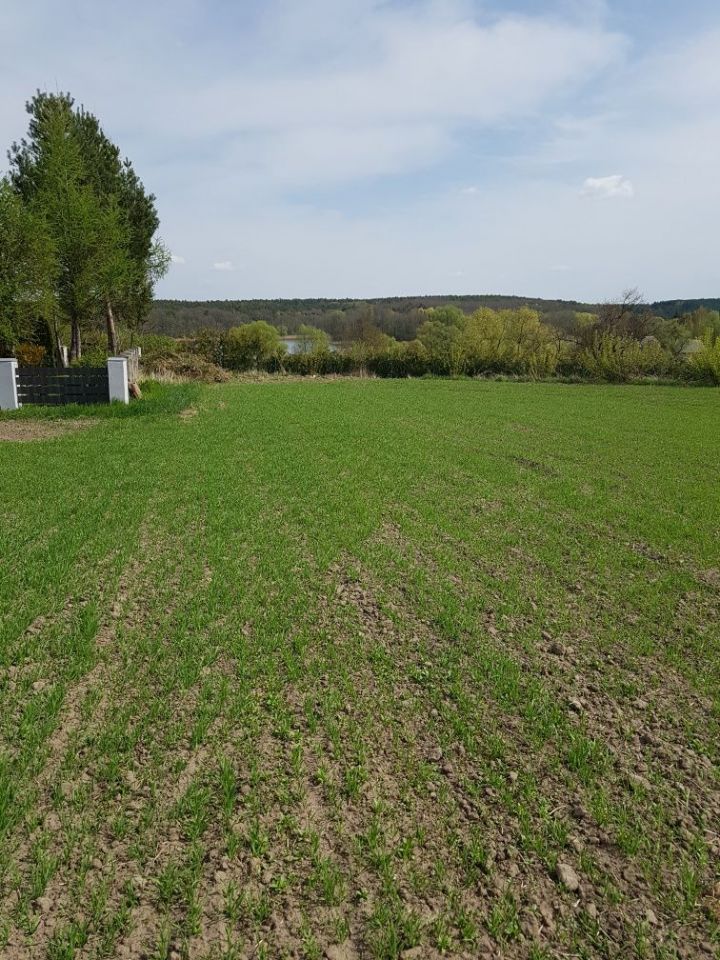 Działka rekreacyjna Chomiąża Księża. Zdjęcie 4