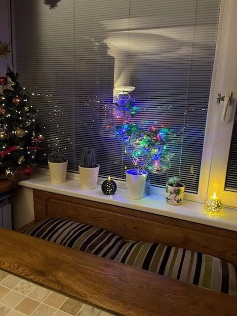 Mieszkanie 2-pokojowe Warszawa Bielany, ul. Kwitnąca. Zdjęcie 17