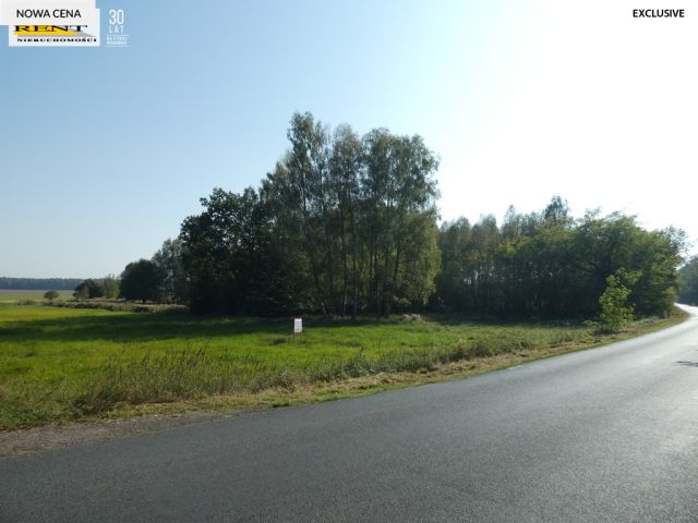 Działka inwestycyjna Tarnówko. Zdjęcie 1