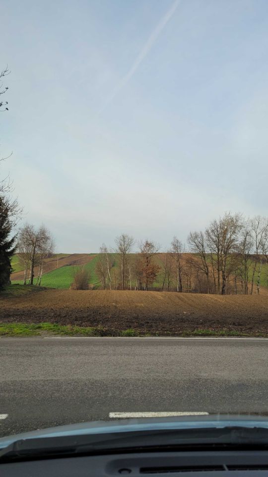 Działka rolno-budowlana Kacice. Zdjęcie 4