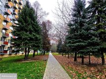 Mieszkanie 3-pokojowe Rzeszów Nowe Miasto, ul. Witolda Świadka. Zdjęcie 4