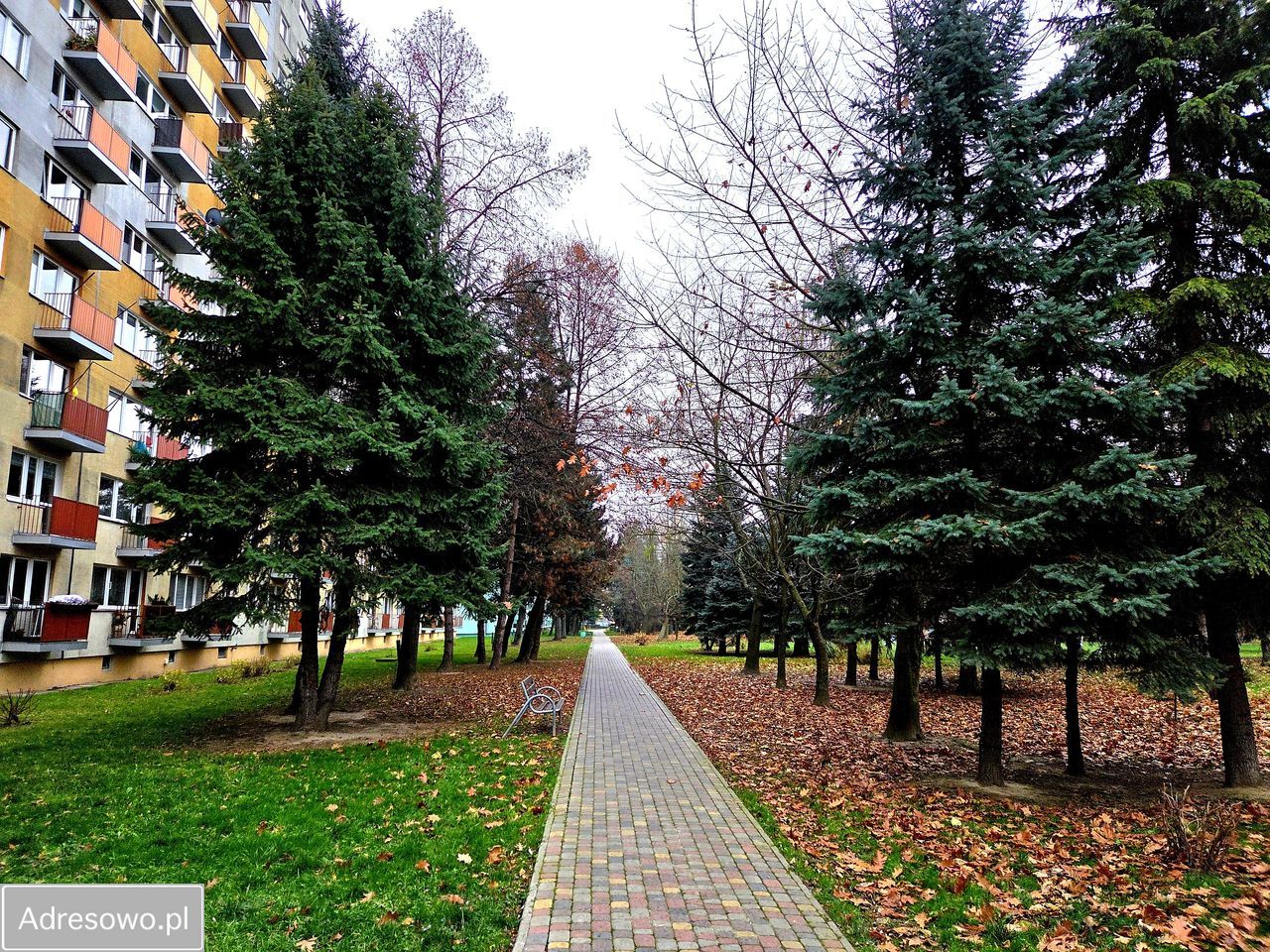 Mieszkanie 3-pokojowe Rzeszów Nowe Miasto, ul. Witolda Świadka. Zdjęcie 5