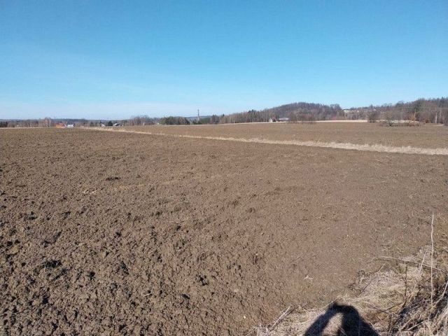 Działka budowlana Mirsk. Zdjęcie 4