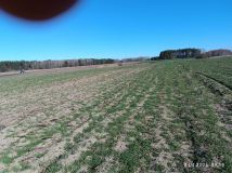 Działka rolno-budowlana Czerewki. Zdjęcie 1