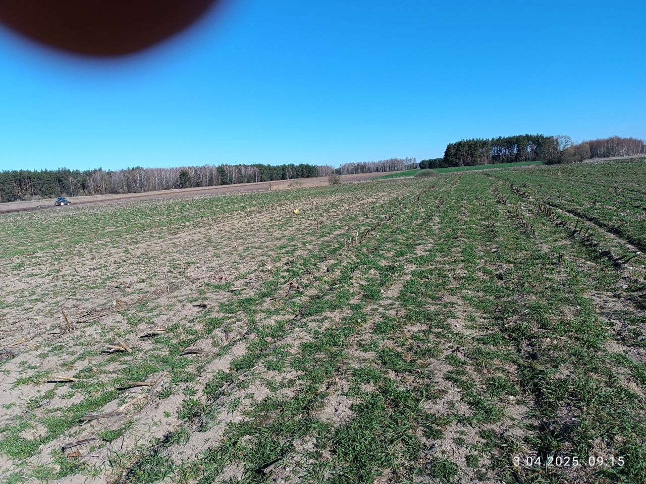 Działka rolno-budowlana Czerewki. Zdjęcie 2