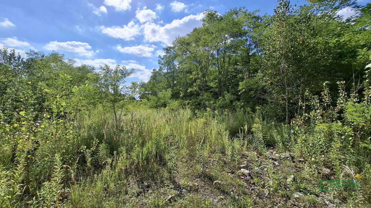 Działka Sosnowiec, ul. Kopalniana. Zdjęcie 5