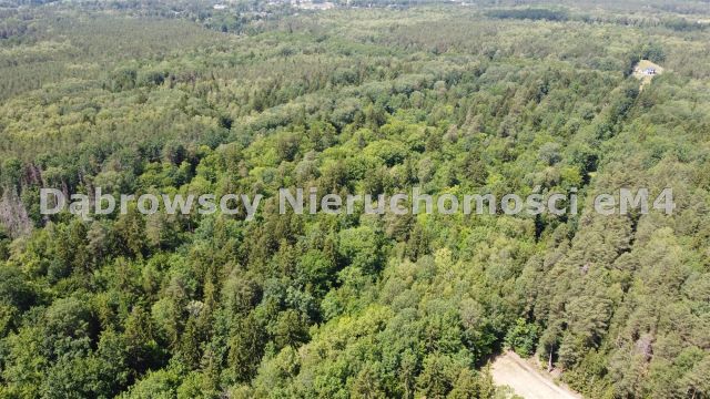 Działka Niewodnica Kościelna, Wrzosowa. Zdjęcie 4