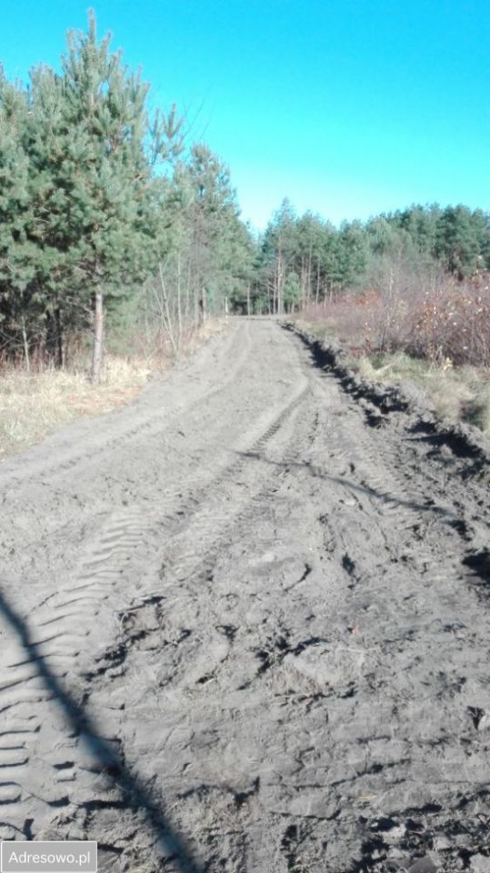 Działka budowlana Chodel. Zdjęcie 4