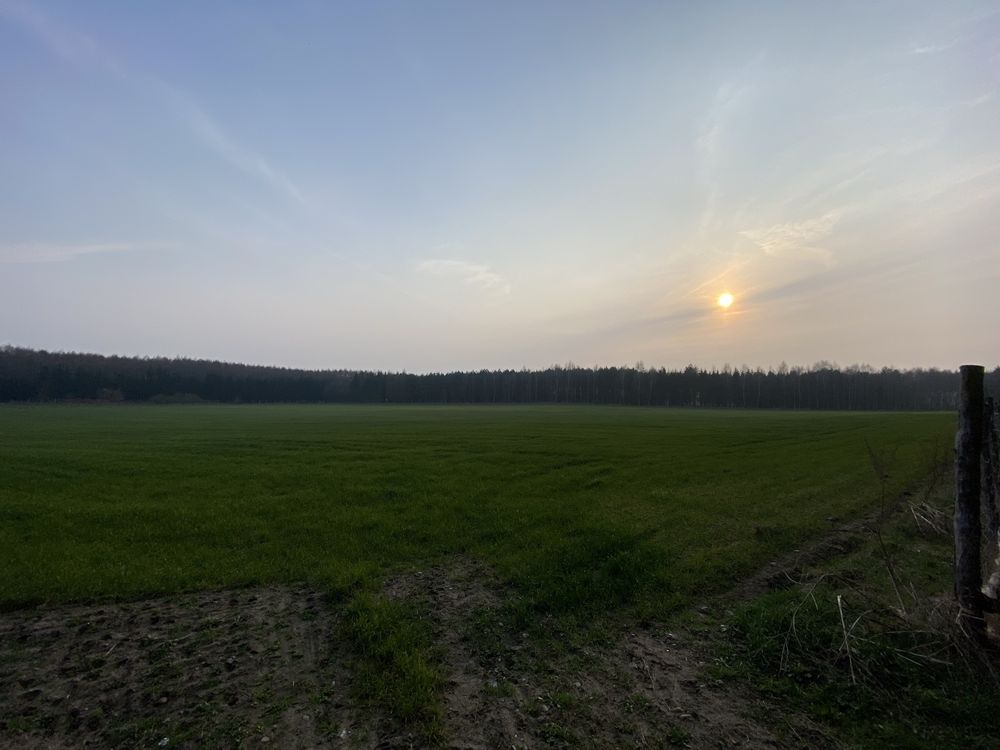 Działka rolna Tarnawa Rzepińska. Zdjęcie 3