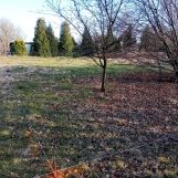 Działka rod Psary. Zdjęcie 1