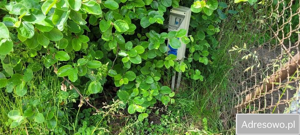 Działka rod Prudnik. Zdjęcie 3